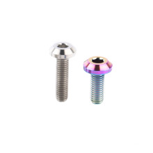 Mountain Bike Screws M4 M6 M8 Cup Allen Head  Machinery Titanium Screws